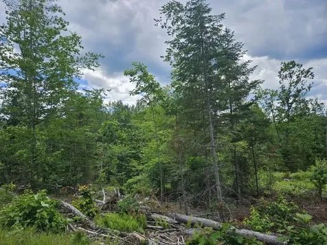 Multiple Quaker Ridge Road Leeds ME 04263