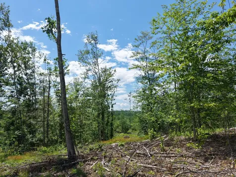 Multiple Quaker Ridge Road Leeds ME 04263