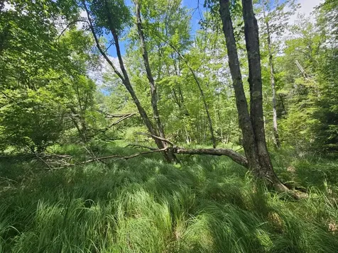 Multiple Quaker Ridge Road Leeds ME 04263
