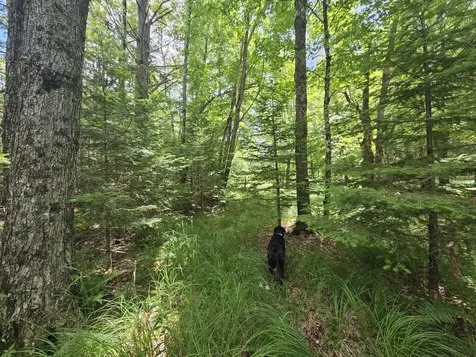 Multiple Quaker Ridge Road Leeds ME 04263