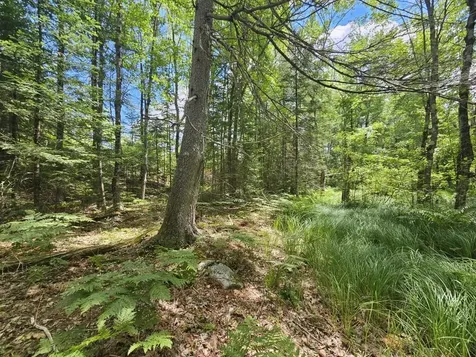 Multiple Quaker Ridge Road Leeds ME 04263