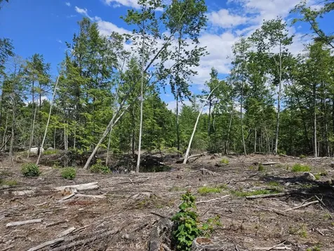 Multiple Quaker Ridge Road Leeds ME 04263