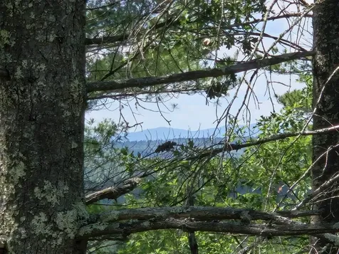 Multiple Quaker Ridge Road Leeds ME 04263