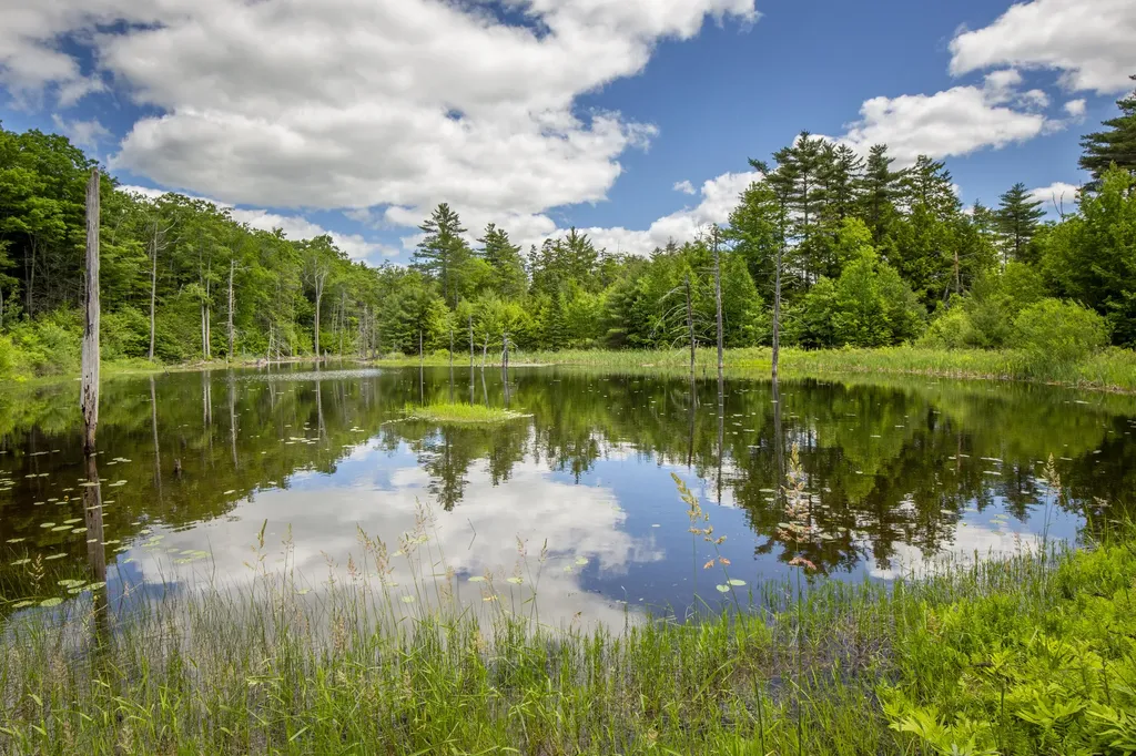 169 Patrick Mountain Lane Washington ME 04574