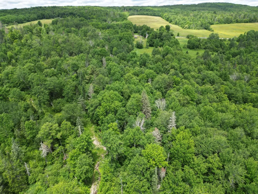 Lot 2 Main Road Carroll Plt ME 04487