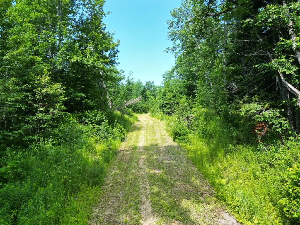 Lot 2 Main Road Carroll Plt ME 04487