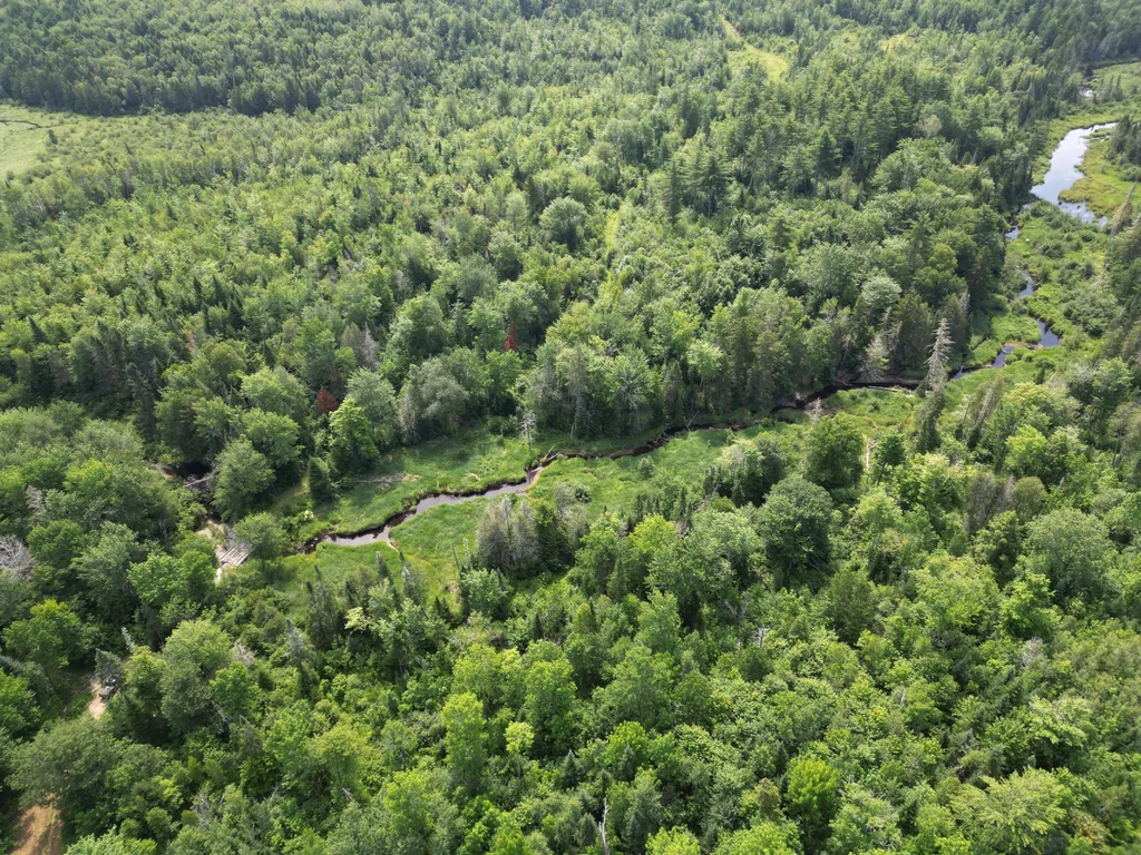Lot 2 Main Road Carroll Plt ME 04487