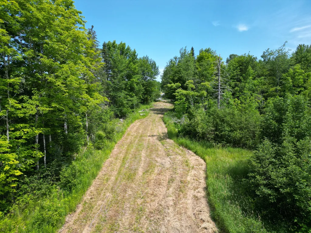 Lot 2 Main Road Carroll Plt ME 04487