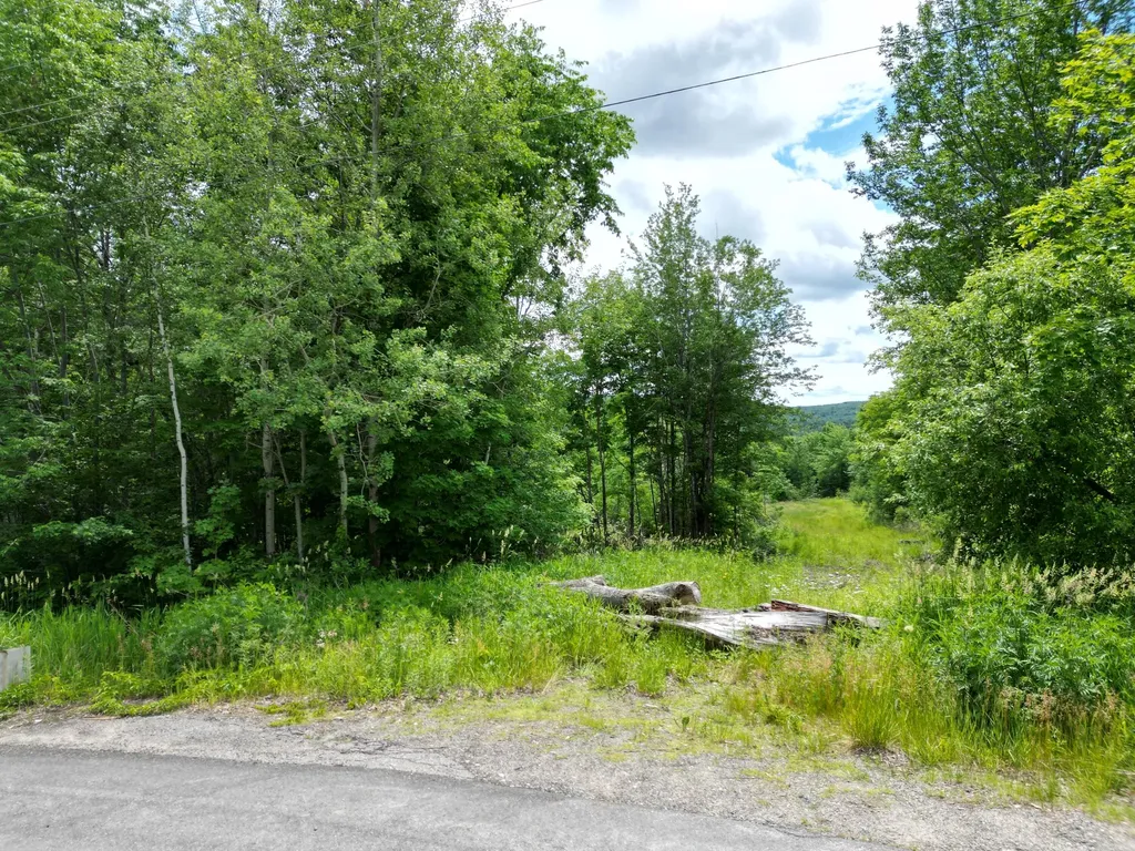 Lot 2 Main Road Carroll Plt ME 04487