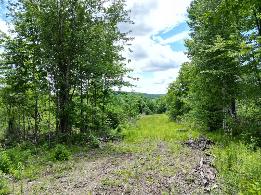 Lot 2 Main Road Carroll Plt ME 04487