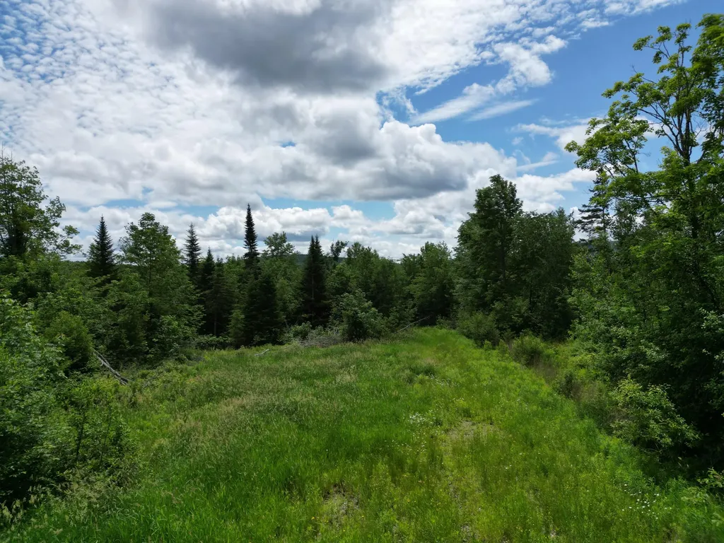 Lot 2 Main Road Carroll Plt ME 04487