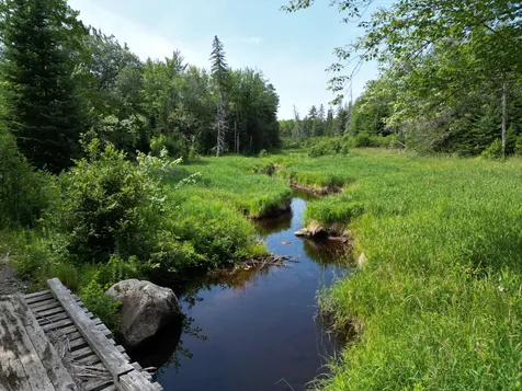 Lot 2 Main Road Carroll Plt ME 04487
