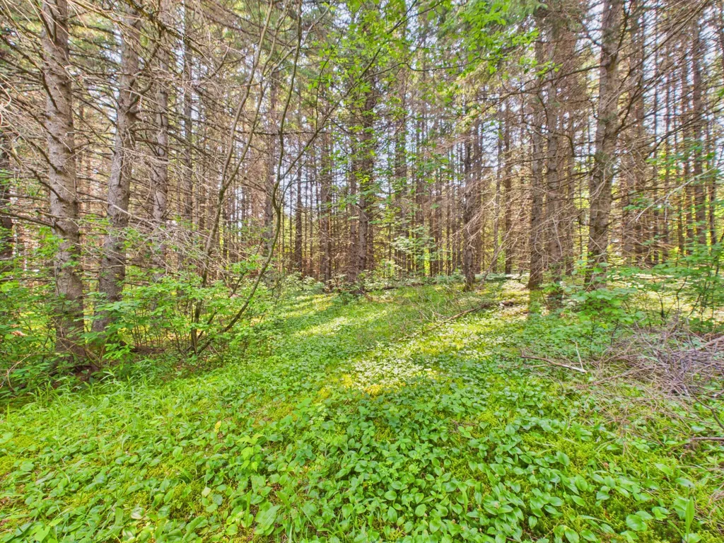 64 Noyes Road Caribou ME 04736