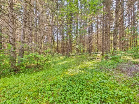 64 Noyes Road Caribou ME 04736