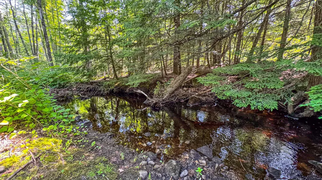179 S Effingham Road Newfield ME 04095