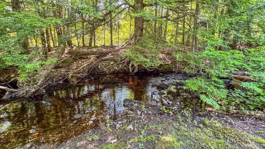 179 S Effingham Road Newfield ME 04095