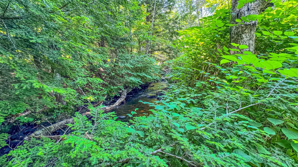 179 S Effingham Road Newfield ME 04095