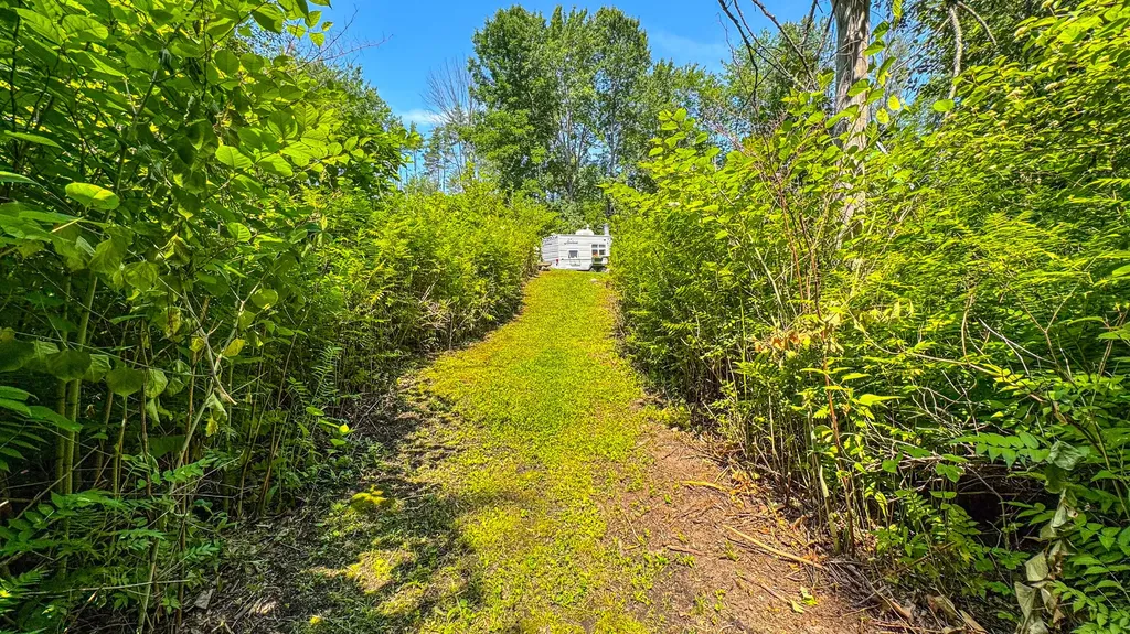 179 S Effingham Road Newfield ME 04095