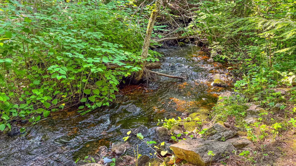 179 S Effingham Road Newfield ME 04095