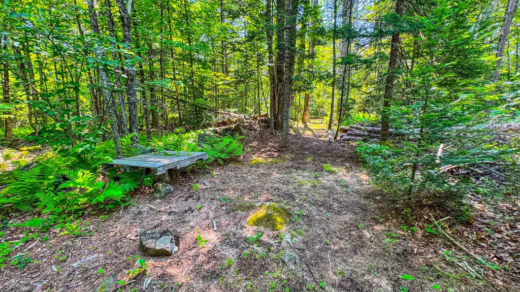 179 S Effingham Road Newfield ME 04095