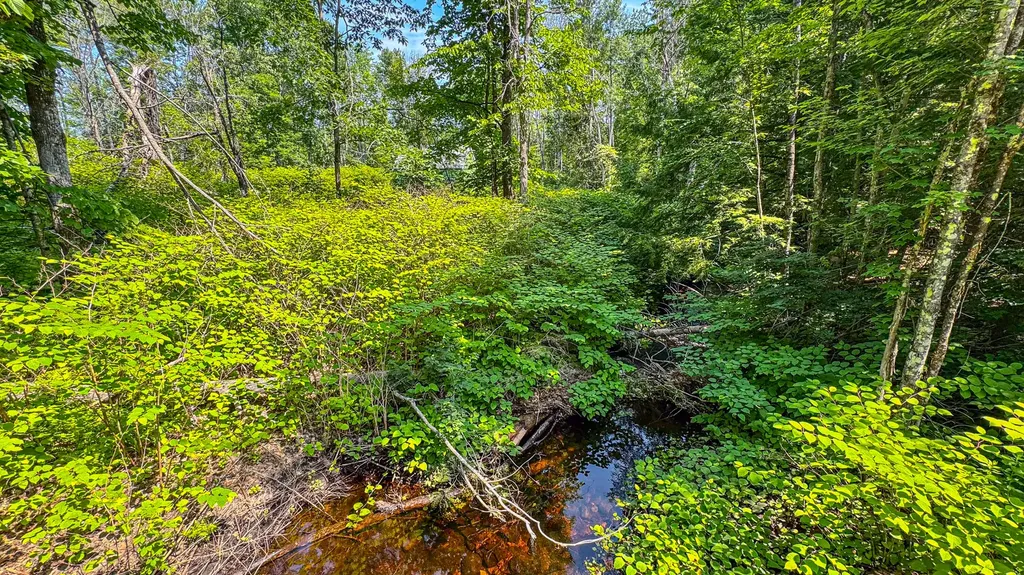 179 S Effingham Road Newfield ME 04095