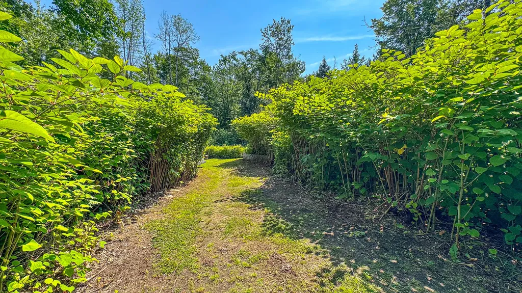 179 S Effingham Road Newfield ME 04095