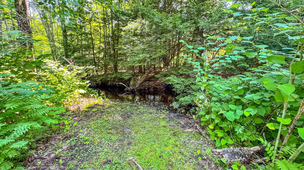 179 S Effingham Road Newfield ME 04095