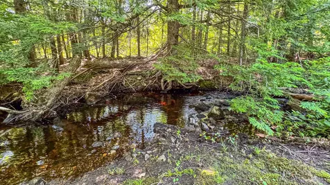 179 S Effingham Road Newfield ME 04095
