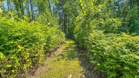 179 S Effingham Road Newfield ME 04095