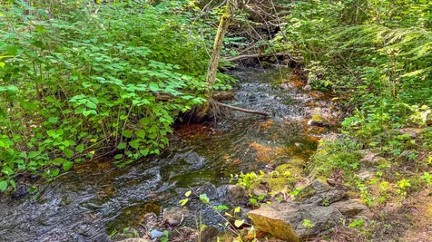179 S Effingham Road Newfield ME 04095