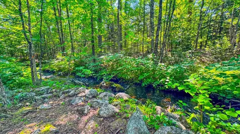 179 S Effingham Road Newfield ME 04095