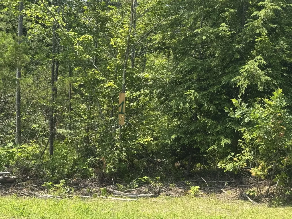 Lot 1 Young's Way Standish ME 04084