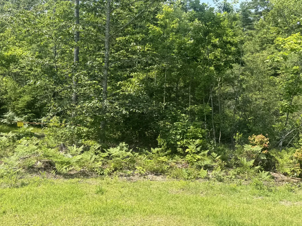 Lot 1 Young's Way Standish ME 04084