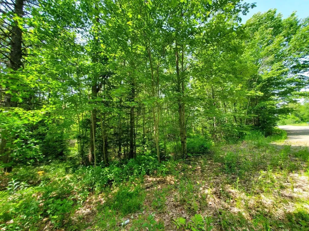 00 Morgan Road Burnham ME 04922
