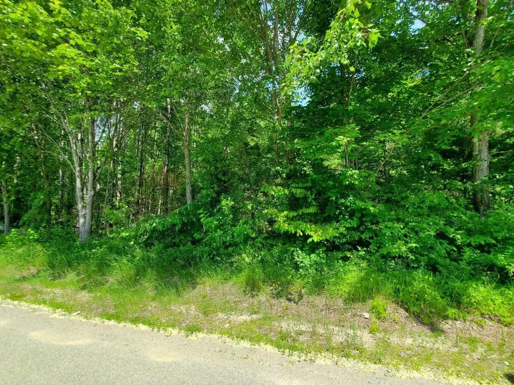 00 Morgan Road Burnham ME 04922