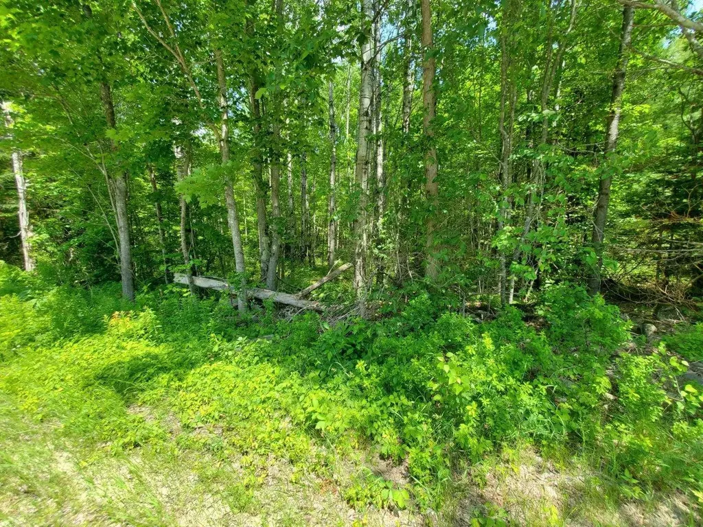 00 Morgan Road Burnham ME 04922