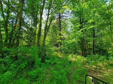 00 Morgan Road Burnham ME 04922