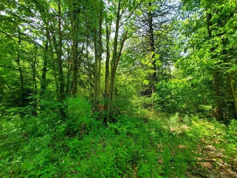 00 Morgan Road Burnham ME 04922