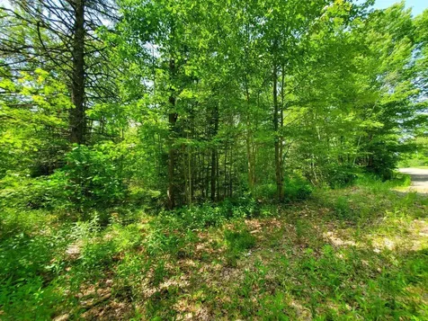 00 Morgan Road Burnham ME 04922
