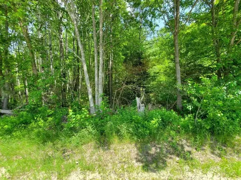 00 Morgan Road Burnham ME 04922
