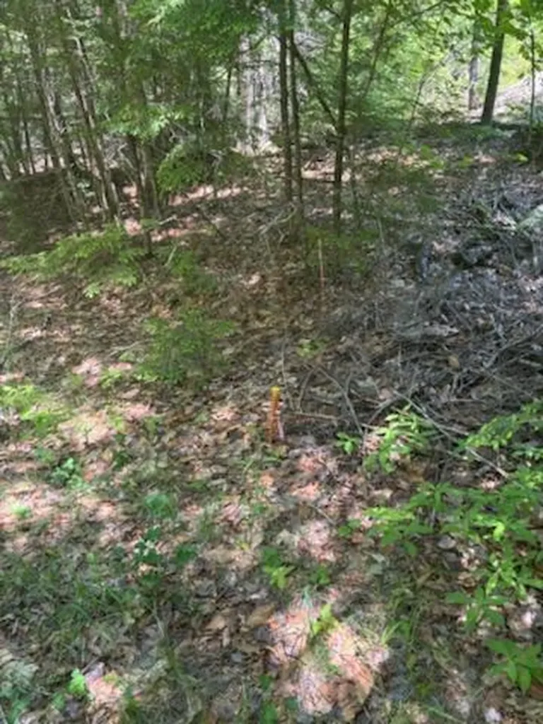 Lot 2c Brown Road Liberty ME 04949