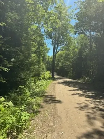Lot 2c Brown Road Liberty ME 04949