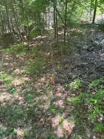 Lot 2c Brown Road Liberty ME 04949
