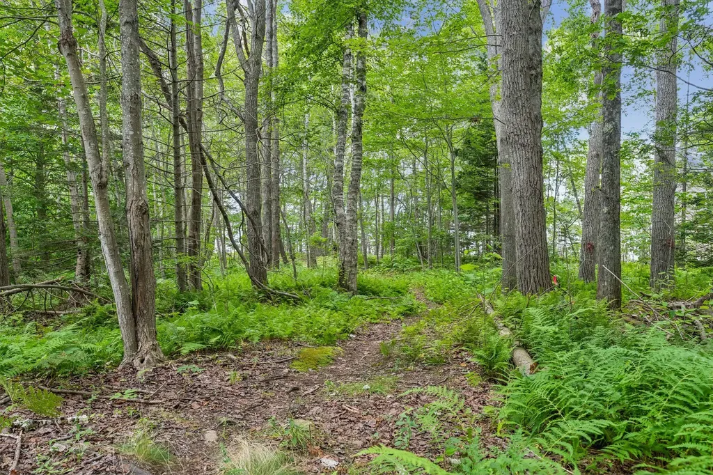 LOT#8C North Road Chebeague Island ME 04017