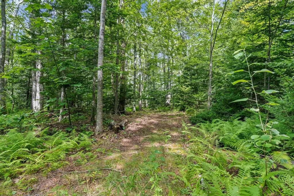 LOT#8C North Road Chebeague Island ME 04017