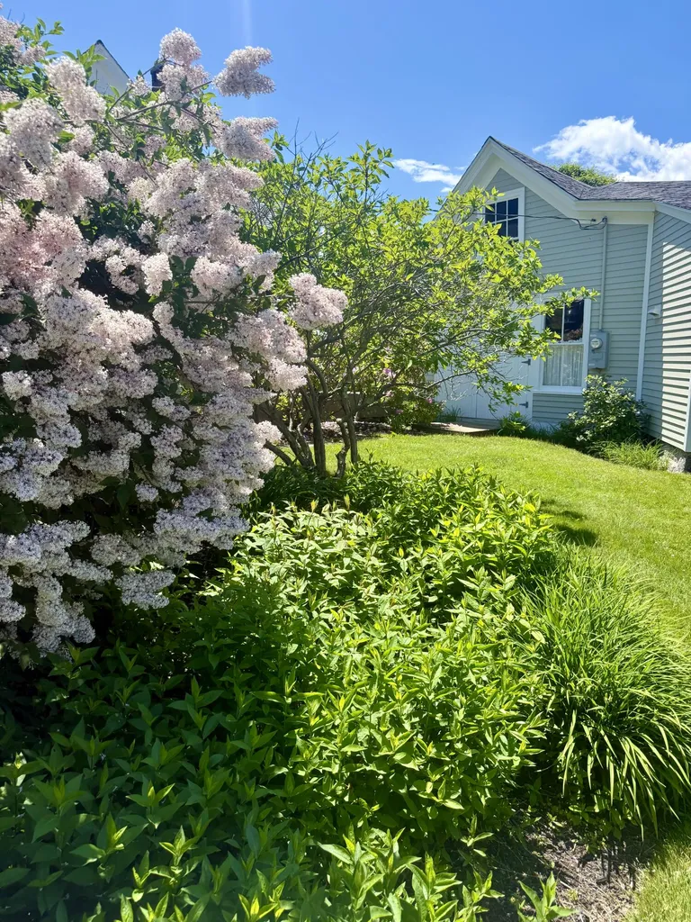 6 Leos Lane Vinalhaven ME 04863