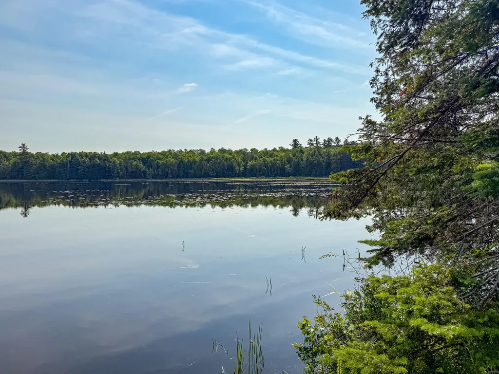 25 Pace Road Springfield ME 04487