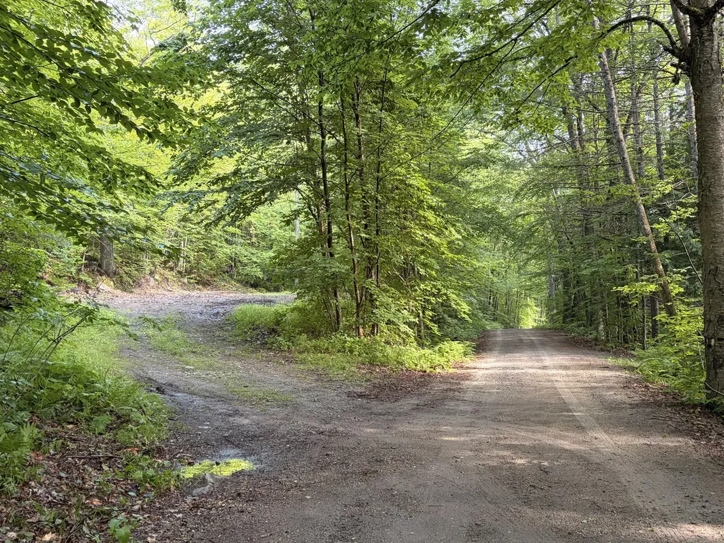 Lot 29 Pine Tree Road Waterford ME 04088