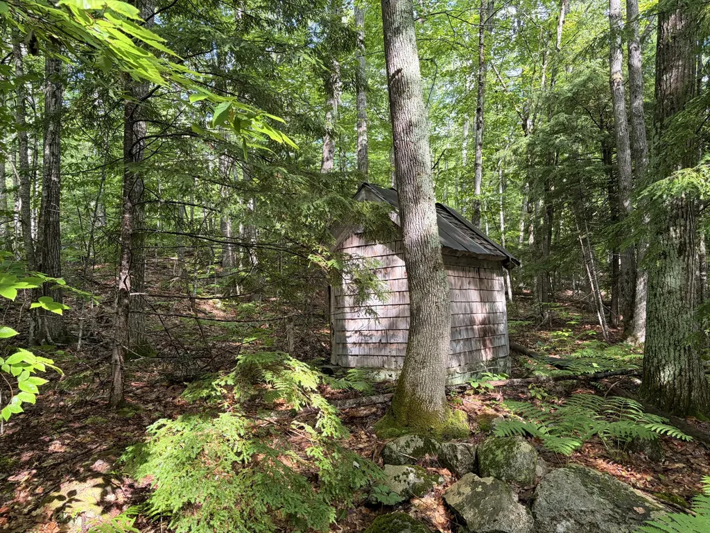 Lot 29 Pine Tree Road Waterford ME 04088