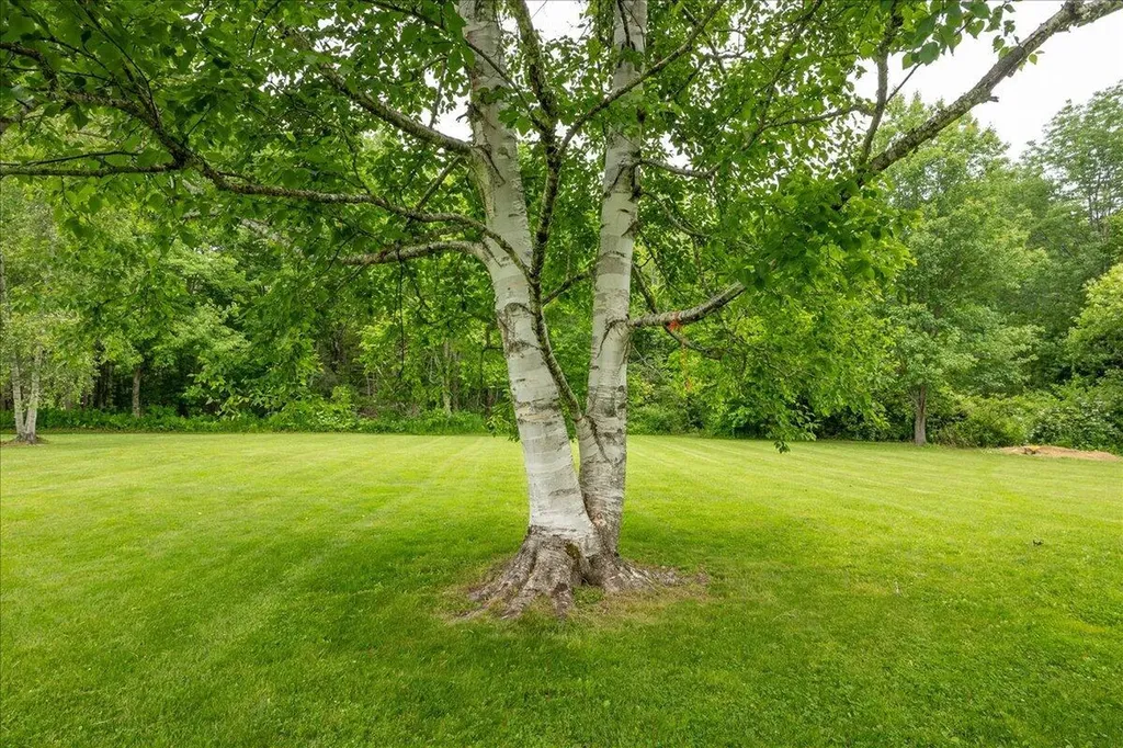 43 Old County Road Rockport ME 04856